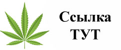Купить наркотики в Дзержинске